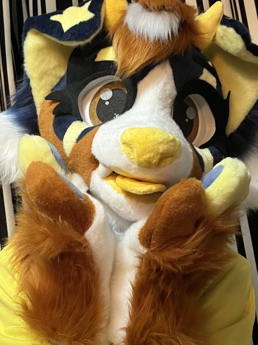 🏖️Papaya Beach Fursuits🏖️ tweet media