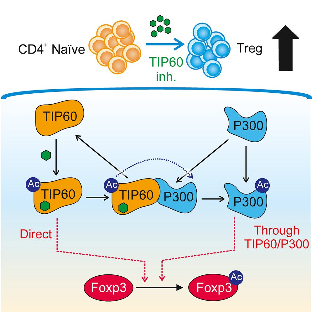 NanoscopyLab tweet media