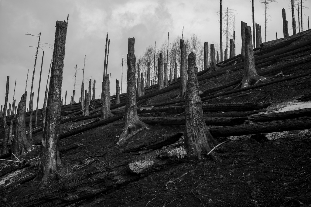 The Visualising Climate Crisis Exhibition by the NOOR Foundation and SLOVAKPRESSPHOTO is opening today in Prague, Czech Republic at Sluneční Náměsti 13 and will be on view from 24 November 2023 to 31 January 2024. noorimages.com/visualising-cl…