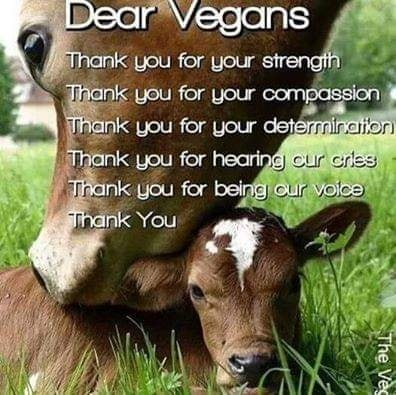 You are most welcome sweet animal friends! Have a suffering-free and long natural life 🙏