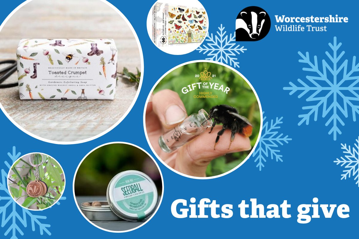 We're not discounting for #BlackFriday as every penny spent helps wildlife in Worcestershire 💚 From stationery to seed balls, check out the products on our online shop 👇 worcswildlifetrust.co.uk/shop