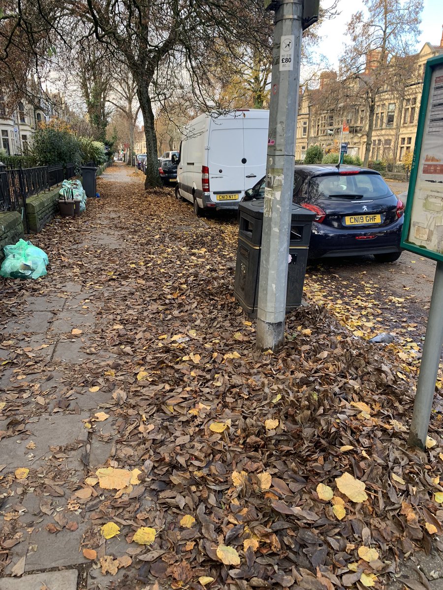 PontK9's tweet photo. @cardiffcouncil can you explain why a council worker is using a leaf blower on a park field when just yards away Cathedral Road is a death trap awash with leaves and slurry? https://t.co/ryv9v7K13Z