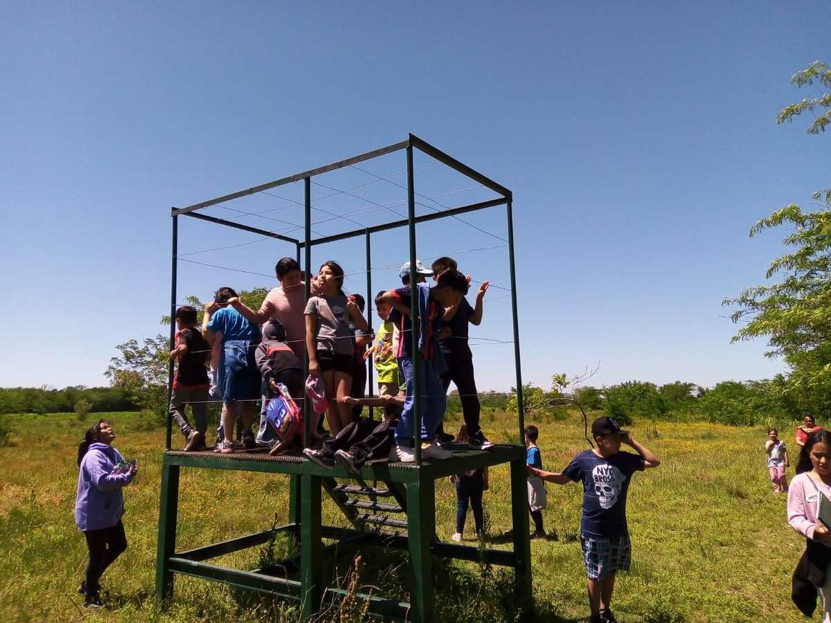 🌿Integrantes del Centro de Desarrollo Infantil “7 de Mayo” de Derqui, visitaron por primera vez la #ReservaNatural y vivieron una linda experiencia en este sitio que oficia como aula a cielo abierto para conocer sobre la biodiversidad y el cuidado ambiental 🦦

#PilarTurismo