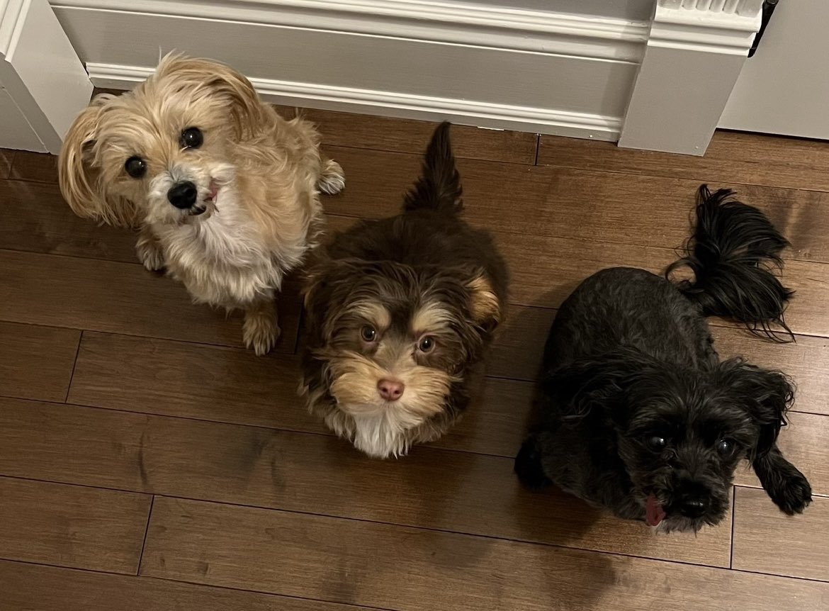 Mark Boyd tweet media