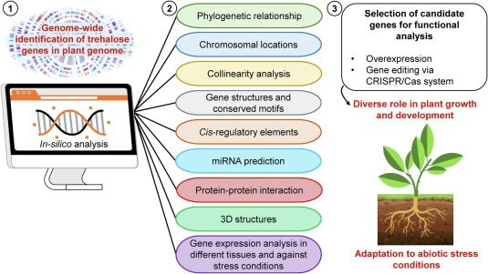 Plant Science (@sci_plant) on Twitter photo Trehalose: A sugar molecule involved in temperature stress management in plants 
sciencedirect.com/science/articl… 
#plantsci ♻️ Trehalose: A sugar molecule involved in temperature stress management in plants 
sciencedirect.com/science/articl… 
#plantsci ♻️