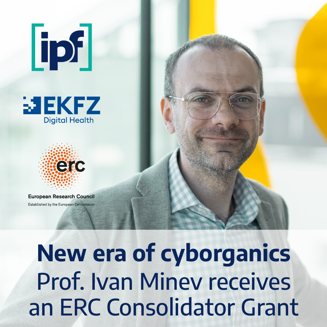 New era of cyborganics – Prof. Ivan Minev receives an #ERCCoG Grant for the project GELECTRO to develop electronic components that consist almost entirely of water and could make the interface between tissue and machine seamless. #IPFDD #EKFZ @EKFZdigital #ERC #polymerresearch