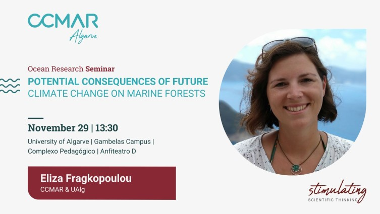 UAlg's tweet photo. Seminário "Potencial Consequences of Future Climate Change on Marine Forests"
Dia 29 de novembro, às 13h30, no anfiteatro D do Complexo Pedagógico do Campus de Gambelas e via zoom-colibri.
#UAlg #UniversidadedoAlgarve #CCMAR @CienciasDoMar https://t.co/rO8eXiDfYh