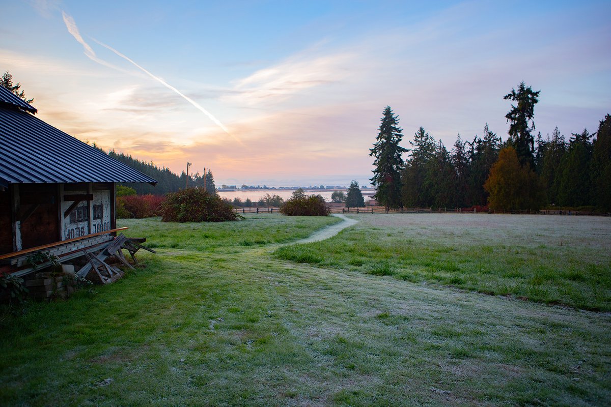 writehedgebrook's tweet photo. The quiet beauty of fall becoming winter.
📸: @niatakesphotos
#Hedgebrook #writingretreat #winterbeauty #frostontheground #frostymornings #peaceandquiet #seasonschanging #falltowinter https://t.co/pcNfj97Agz