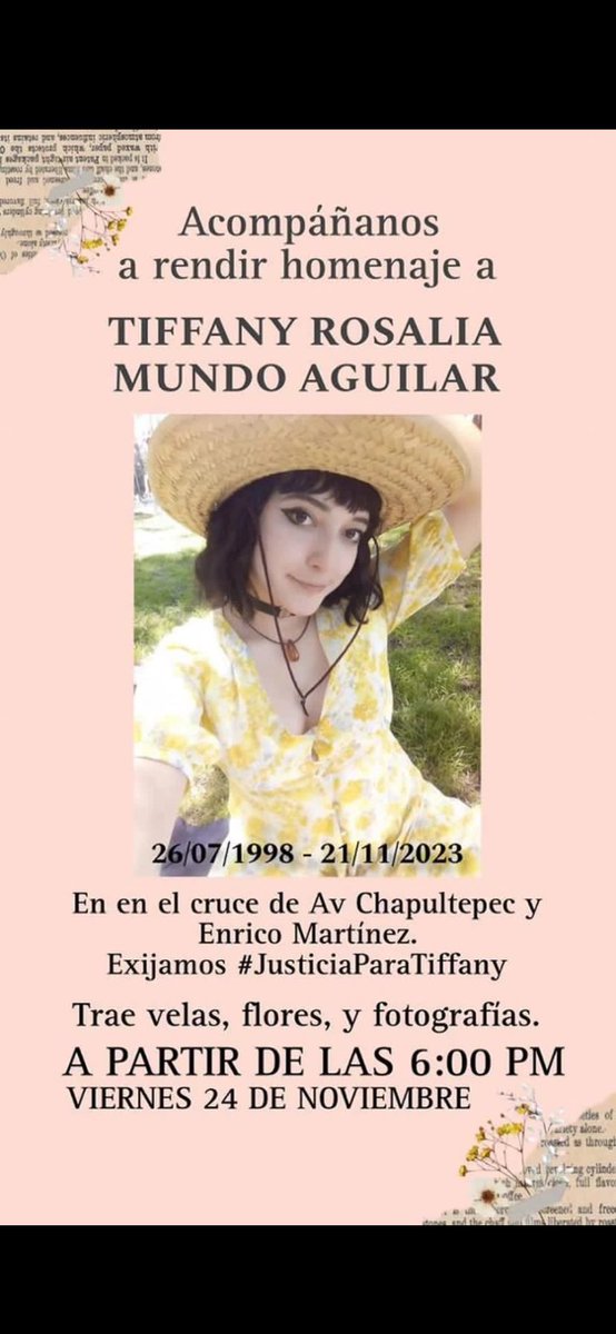 DuulceOlvera's tweet photo. Tiffany usaba todos los días ecobici para, saliendo de metro Balderas, llegar a su trabajo. Estaba a punto de terminar la tesis. El chofer de 65 que la asesinó queda libre. https://t.co/BPwBiSFG1u