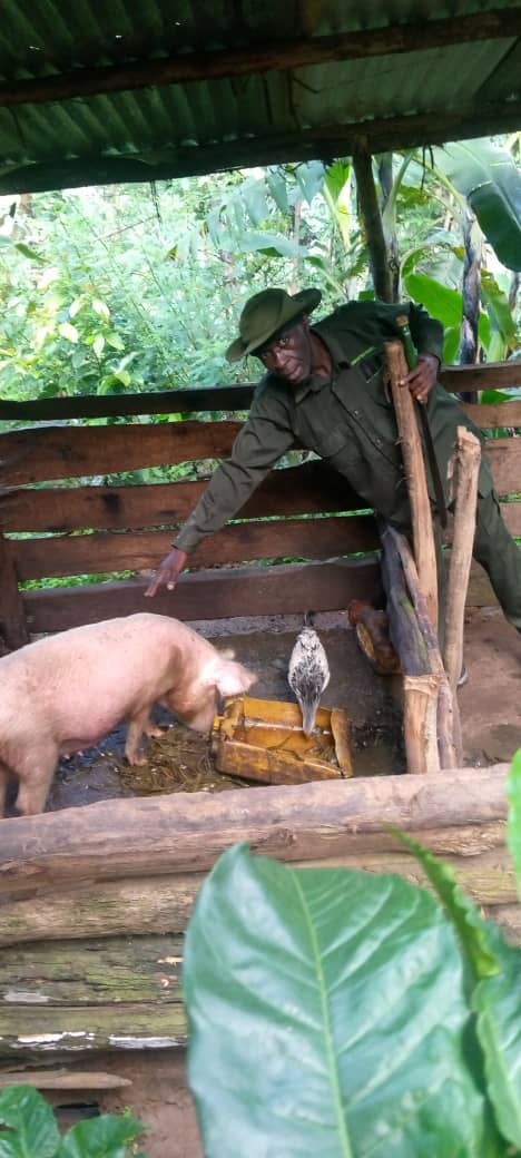 BWINDI RETIRED RANGERS tweet media