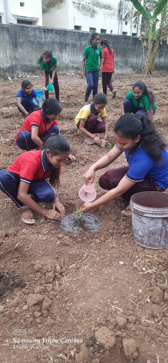 EmrsChandrapur's tweet photo. #JanjatiyaGauravDivas
#JanjatiyaGauravDivas2023
#ViksitBharatSankalpYatra
#EmpoweringTribalsTransformingIndia
Creating nutritional garden by students in the premises of EMRS CHANDRAPUR https://t.co/N2Gf0LrgFx