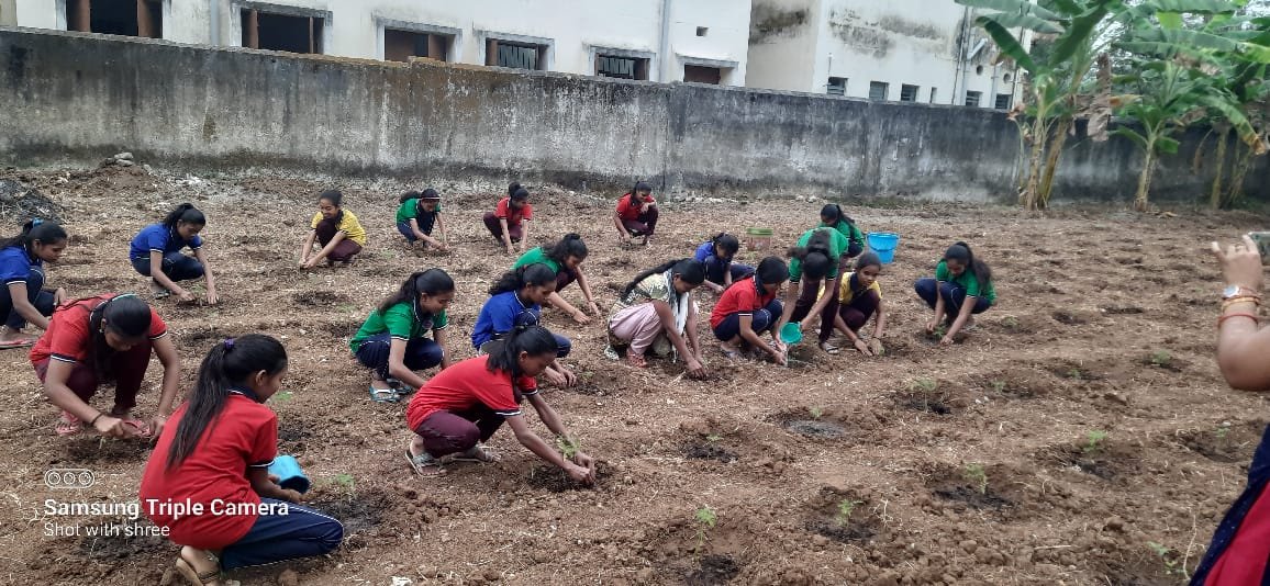 #JanjatiyaGauravDivas
#JanjatiyaGauravDivas2023
#ViksitBharatSankalpYatra
#EmpoweringTribalsTransformingIndia
Creating nutritional garden by students in the premises of EMRS CHANDRAPUR