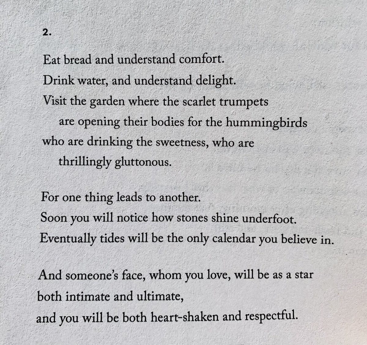 'Eat bread and understand comfort.' —Mary Oliver, from 'To Begin with, the Sweet Grass'