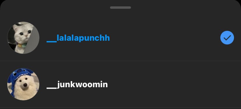Punch(ฟอลกลับแอคปักหมุด) tweet media