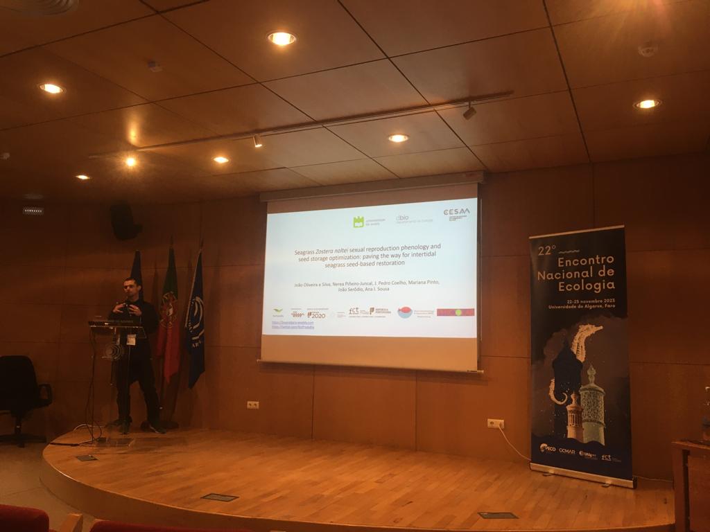Today, our MSc student João Silva presented part of his work on #seagrass phenology and seed-based #restoration methods, at the ENE-National Ecology Meeting in Faro, PT!  by SPECO <a href="/PortugalEcology/">SPECO | Portuguese Ecological Society</a>  Well done, João! 😉🌱