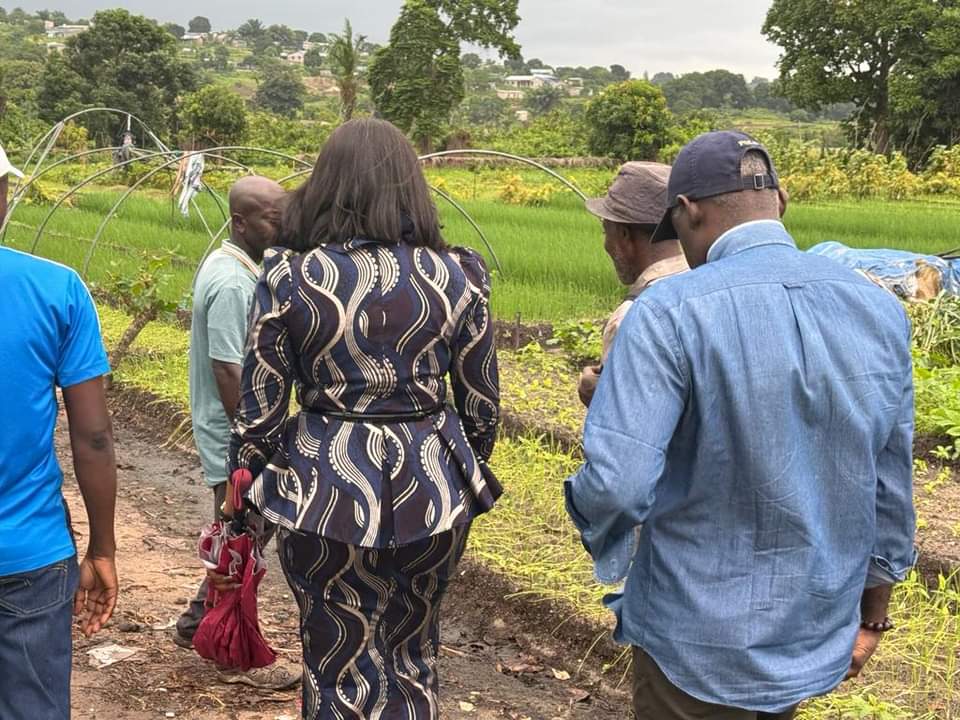 Rencontre avec le Directeur de l'Agriculture du Congo et de département pour rencontrer les acteurs plus précisément dans la ceinture du maraîchage de Mayanga afin de nouer des partenariats visant à accompagner ces derniers dans la productivité et un partenariat