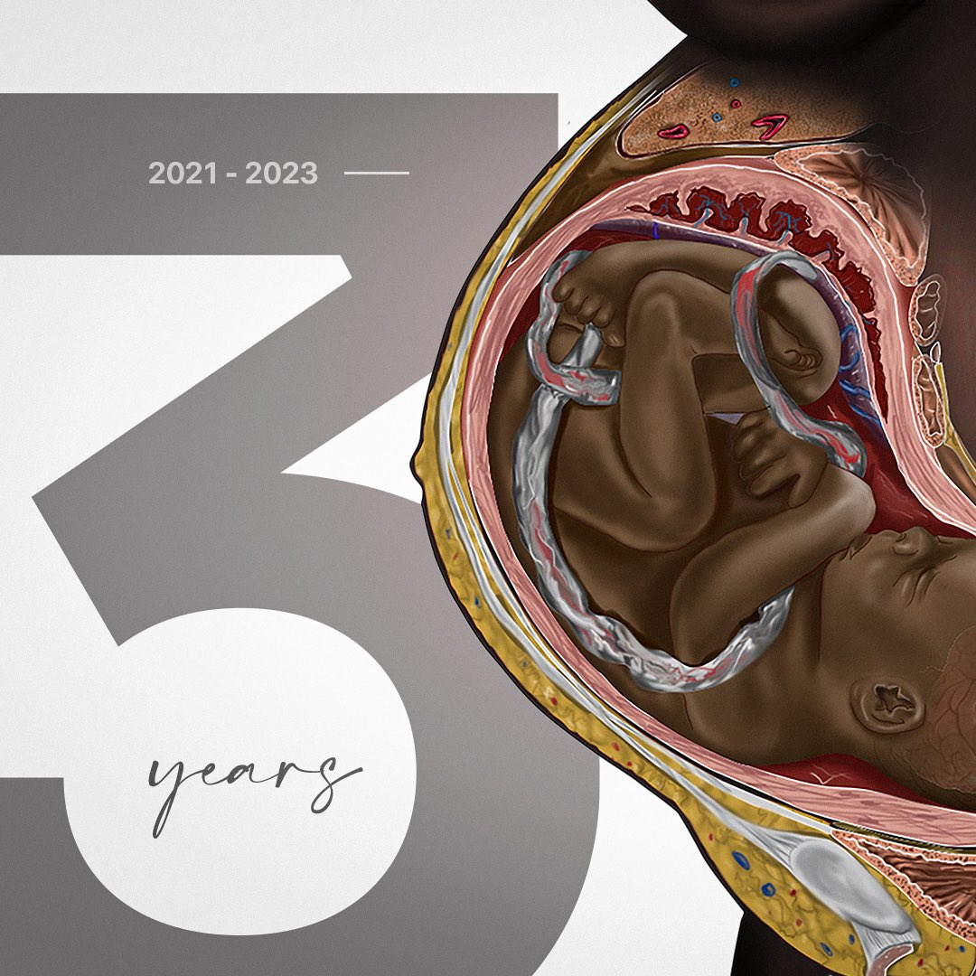 Chidiebere Ibe 𝕏 tweet media