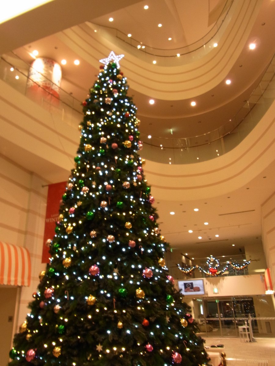 hide23sg's tweet photo. 1ヶ月早いクリスマス
＃磐城　＃ラトブ　＃大きなクリスマスツリー https://t.co/p3oBJgSyy9