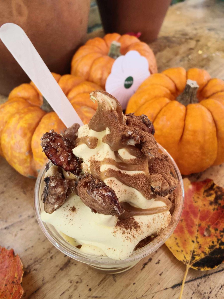 Happy sunny Saturday! What a lovely day! Is it too chilly for softserve? Would you prefer a warming latte or a tea &amp; a pastry? Whatever you fancy, pop in to see us &amp; we can sort out your breakfast, brunch, lunch or snacks. It's a glorious day for a stroll around <a href="/buteparkcardiff/">Bute Park</a>