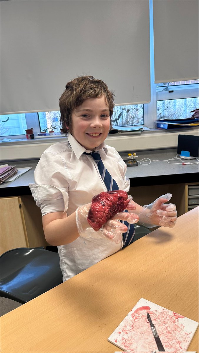 SmithycroftSci1's tweet photo. Another fantastic session of our BGE supported study! Tonight we have a live heart dissection! Everyone's getting stuck in and involved! We're also playing some Periodic Table Battleships! Well done everyone π
#WeBelong #WeAchieve
#ScienceIsFun #ScienceIsNurturing https://t.co/2iO9GhHaen