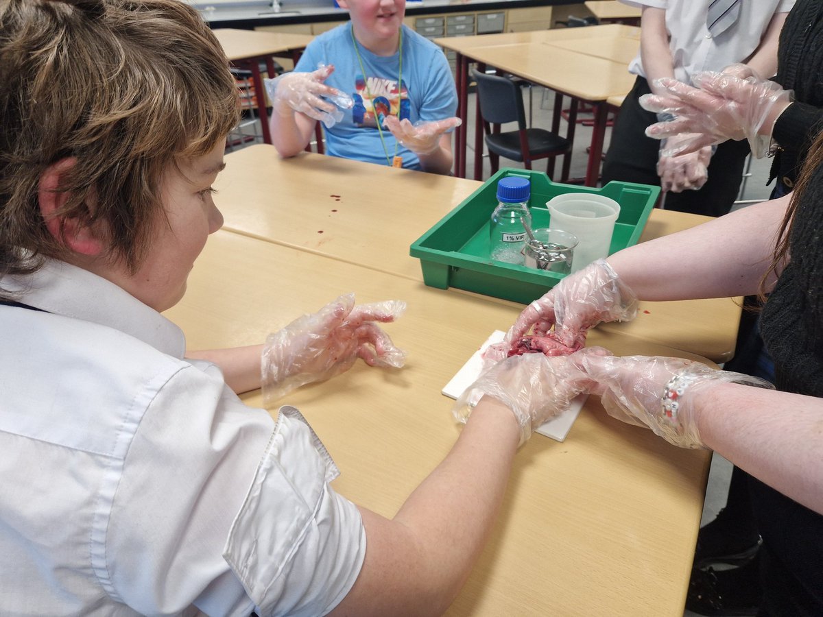 SmithycroftSci1's tweet photo. Another fantastic session of our BGE supported study! Tonight we have a live heart dissection! Everyone's getting stuck in and involved! We're also playing some Periodic Table Battleships! Well done everyone π
#WeBelong #WeAchieve
#ScienceIsFun #ScienceIsNurturing https://t.co/2iO9GhHaen