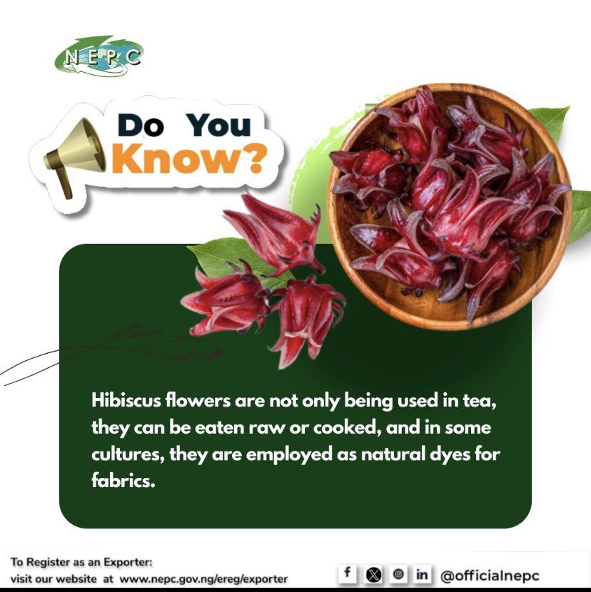 OfficialNEPC's tweet photo. Hibiscus flowers are not only used for tea but also for culinary delights, and even as natural fabric dyes in the Nigerian culture.

#hibiscus #hibiscusexport #nepc #nigerianexportpromotioncouncil https://t.co/I88cnxnz8O