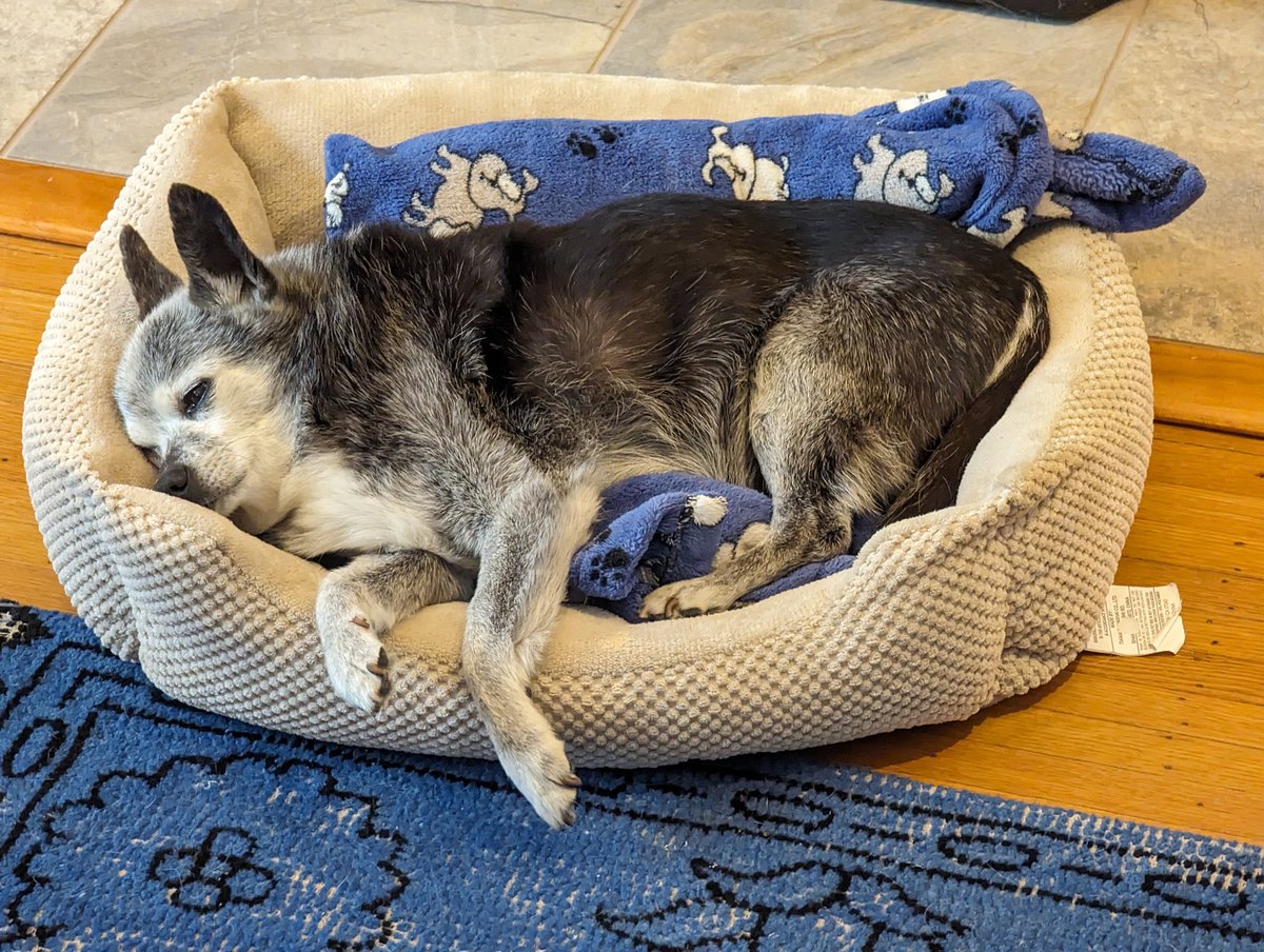 MilesSleeping's tweet photo. https://t.co/5o5xzpQJG4