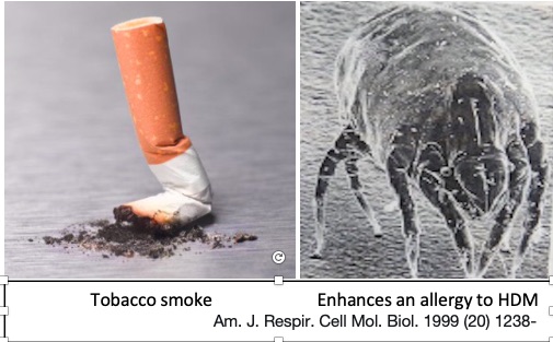 housedustmite's tweet photo. Cigarette smoking increases bronchial mucosal IL-17A expression in asthmatics, which acts in concert with environmental aero-allergens to bring about neutrophilic inflammation. Ref. Clin Exp Allergy, 2017(47)740–750. @JacquiPolington @drlaurajane @GOLD_COPD https://t.co/uFefsPCHQ7