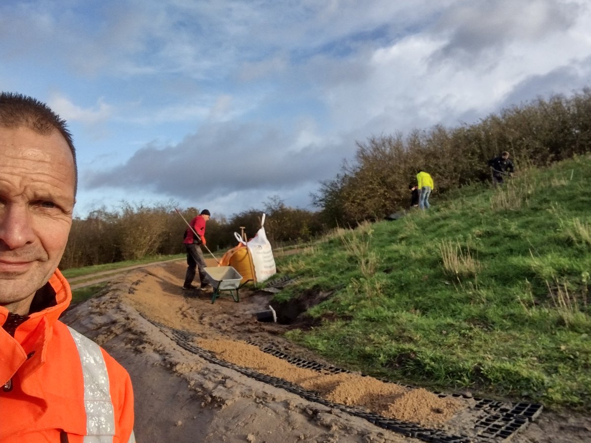 Harry Grevers tweet media