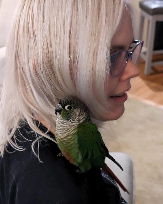 I spent thanksgiving with my older bro and his family and their cute birdie https://t.co/j8XuUIPTSr