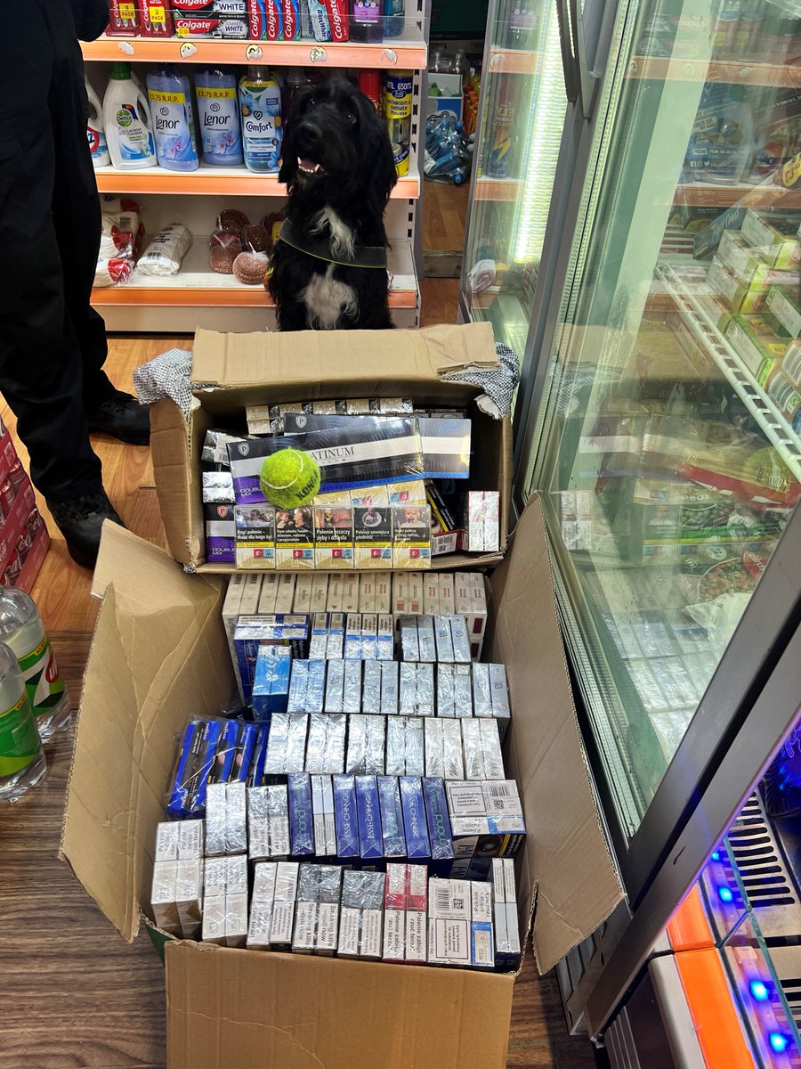 Drumchapel Community Police, with partners from @GlasgowCC @socotss and @ConsumerDogs, performed a joint operation to target multiple premises concerned in selling counterfeit and illicit goods. Large quantities of cigarettes, tobacco and illegal vapes were seized. #Teamwork