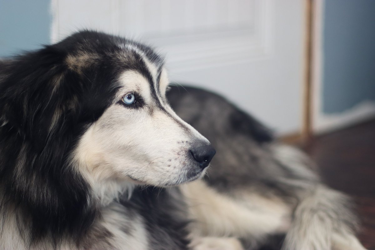 Joe Ragusa tweet media