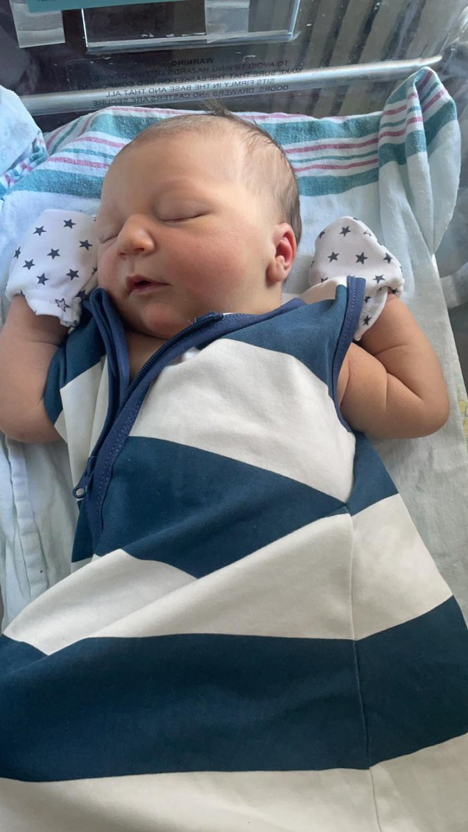 Donald J. Robertson tweet media