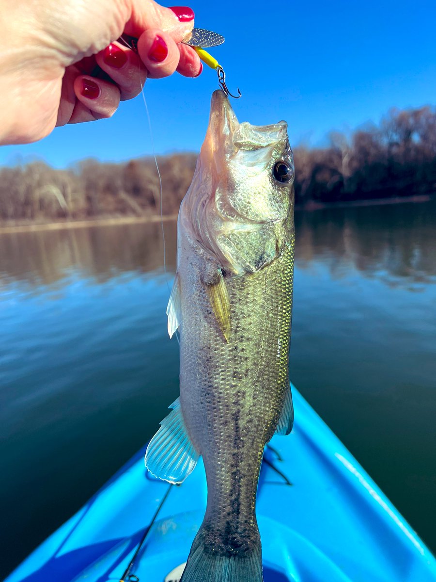 Grateful for a wonderful Thanksgiving and the gorgeous weather.  I can’t believe it was nice enough to sneak in a little lake time yesterday. So much to be thankful for! ☀️🦃🎣