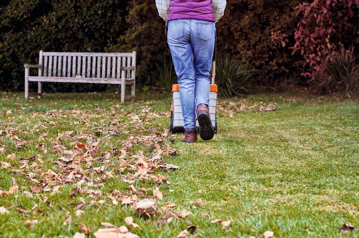 The grass might have stopped growing in your garden, but did you know that you can use your lawn mower to help pick up leaves from your lawn? The mower will also chop them up so they will break down more easily in your compost bin.