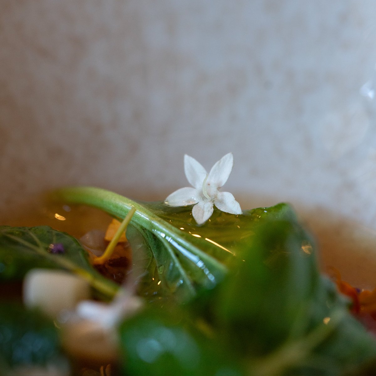 Meson Sabor Andaluz: Pedro y su amor por los vegetales en el centro de un pintoresco pueblo blanco de Cadiz.
Sensibilidad y sabor en un menu potente pero liviano a la vez.