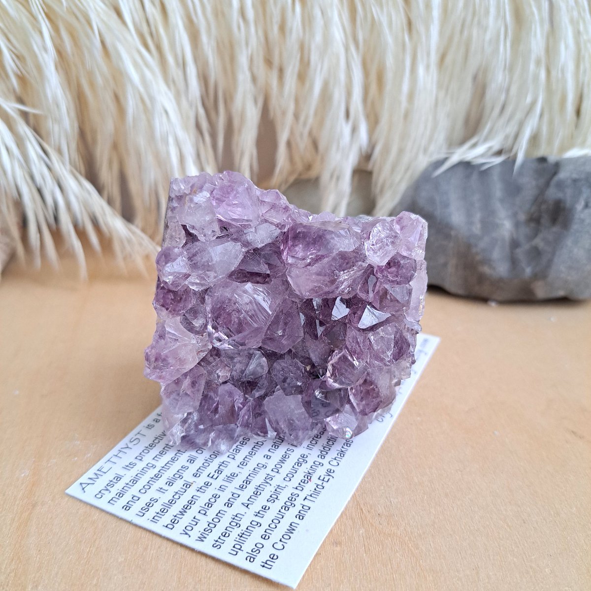 CrystalsMyst's tweet photo. Beautiful #Amethyst Crystal Cluster with cut base from Brazil for Protection, Wisdom, Spiritual Awakening and the upper Chakras 9.5oz / 269g 

#crystals #minerals #energy #homedecor #purple #gifts #sale 

#ForSale ~ https://t.co/nHYARVMLoV via @Etsy https://t.co/3AwokxVOHg