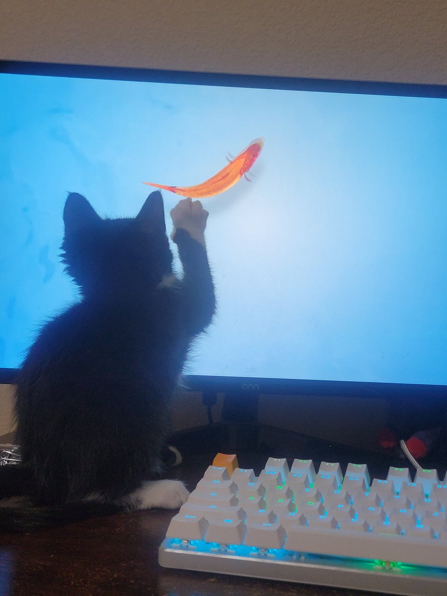 VRydus's tweet image. Lil dude is entranced by the wonders of technology