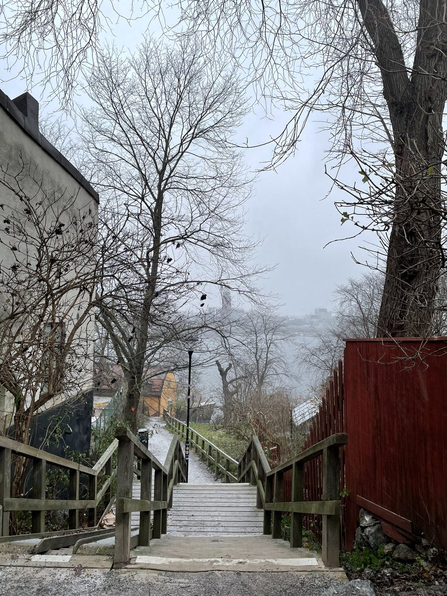 aromwerdna's tweet photo. Grateful to be physically and mentally here again. Forever my happy place. No matter how gloomy it may get sometimes. https://t.co/iHJJN4Rs7e
