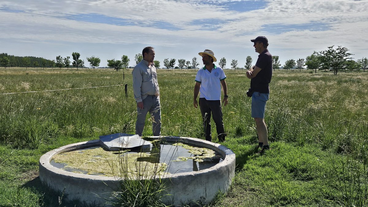 berhonga's tweet photo. Visitando junto a Ivan Janssens sistemas ganaderos sobre pastizales pampeanos que mejoran los servicios ecosistémicos.
----
Visiting with Ivan Janssens livestock systems on Pampas grasslands that improve ecosystem services.
#grassfeed #argentinabeef https://t.co/Zkt426ObyX