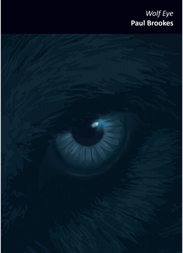 PaulDragonwolf1's tweet photo. #WolfEye Sent off second batch signed, numbered, with handwritten poem in back. ONLY 4 LEFT. GET THEM WHILE YOU CAN. https://t.co/2xA6tkveaQ