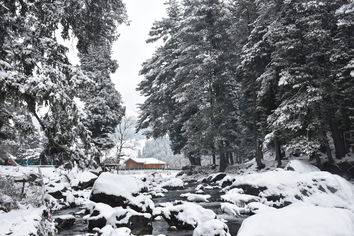 JandKTourism's tweet photo. Here, mystical winter is not just a season, it’s s a festivity.
Are you ready to experience the true winter wonderland?
#Kashmir #winterwonderland #heavenonearth #experiencewinter #snow #himalayas #adventure #thrill #jktourism @SyedAbidShah https://t.co/0Ov1fEKZJl