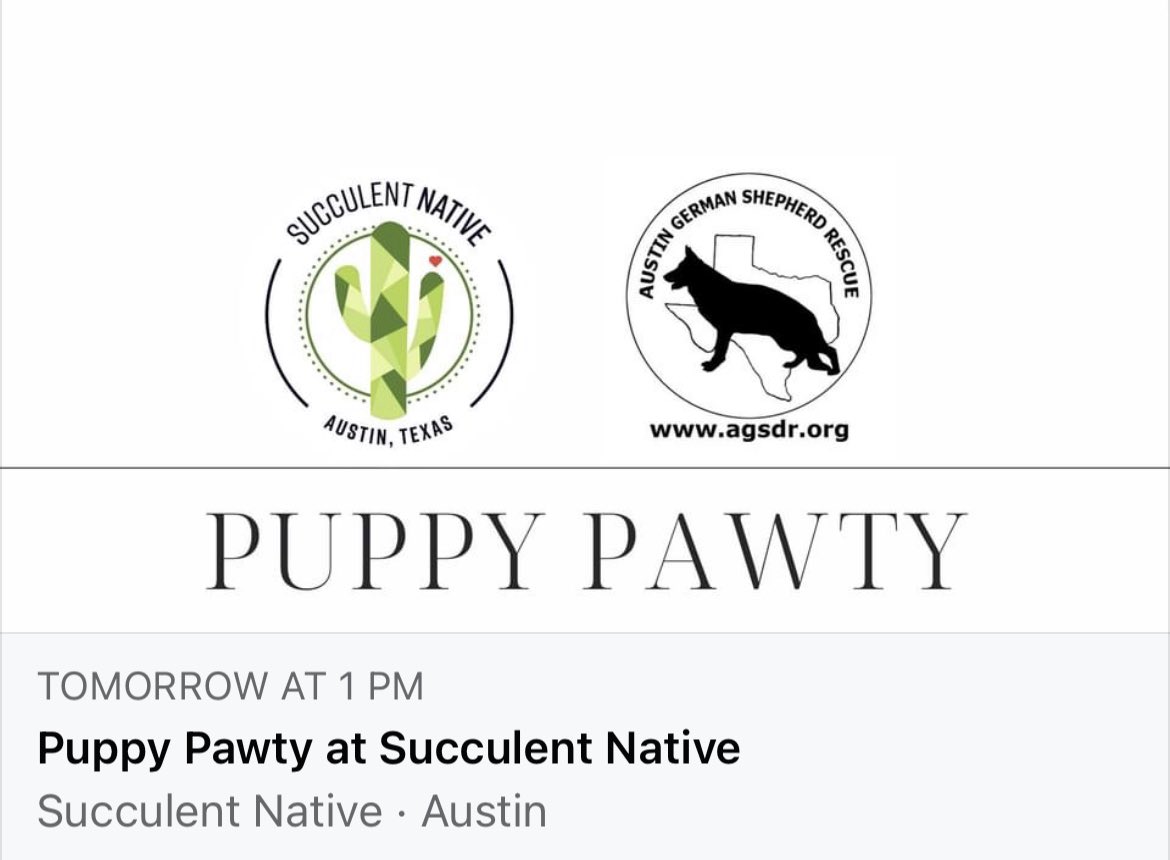 Austin German Shepherd Rescue tweet media