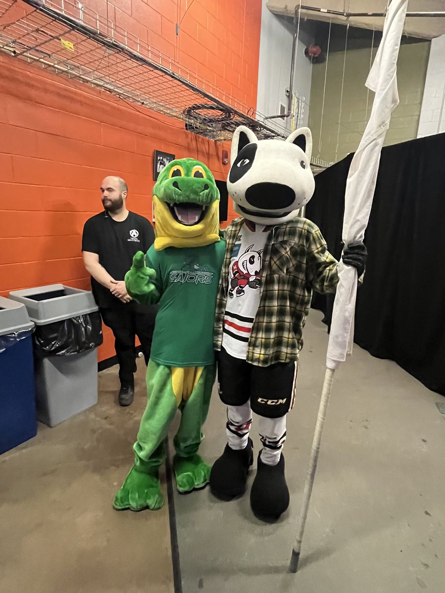 Senator Gibson tweet media