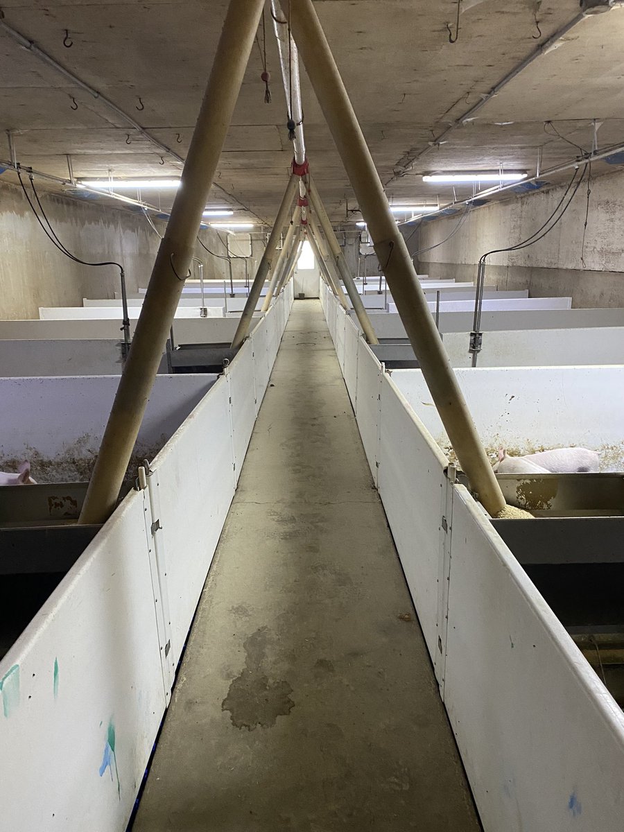 Jason A Lepelaars tweet media