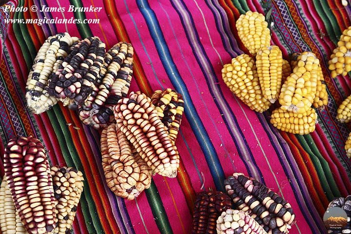 jamesbrunker's tweet photo. Some #corn varieties from South America for #NationalMaizeDay, these and more available as #prints on gifts and licensing here: https://t.co/QidXMfxyul
https://t.co/XwpkLX6Ahu
#AYearForArt #BuyIntoArt #maize #maizeday #food #foodfriday #colors #colours #markets #harvest https://t.co/RwHclj5bOo