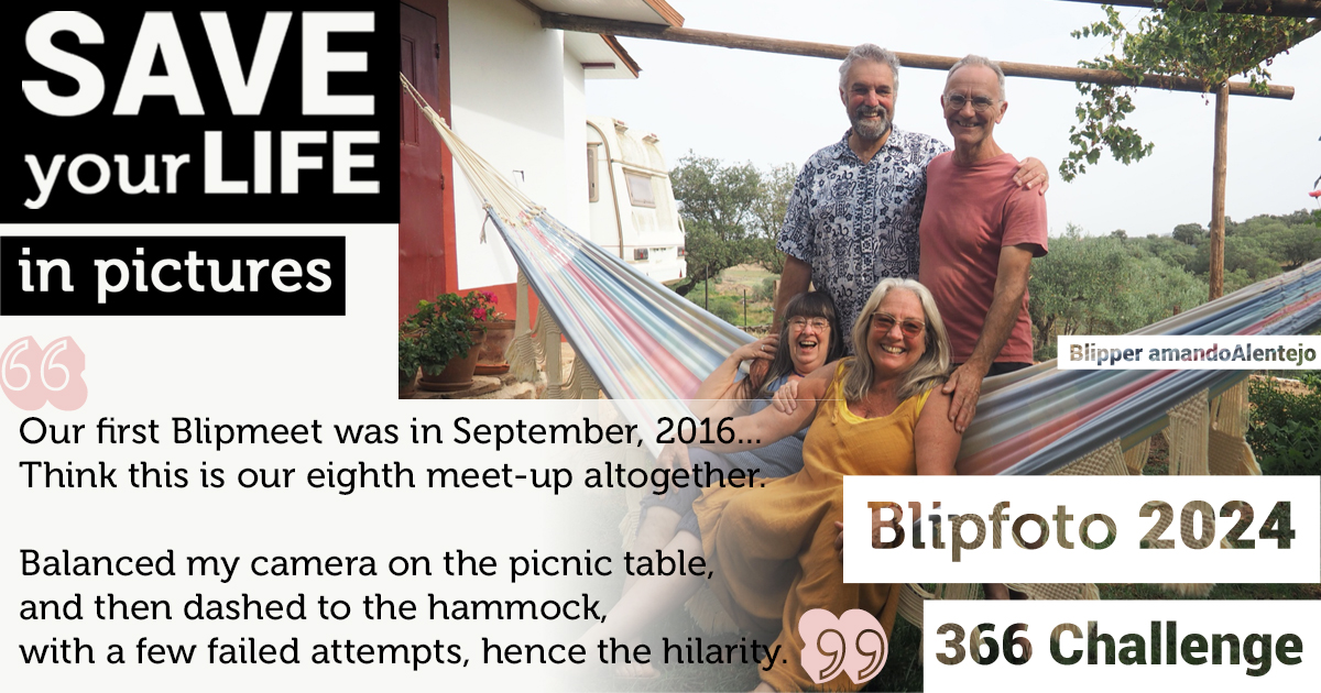 Blipfoto tweet media