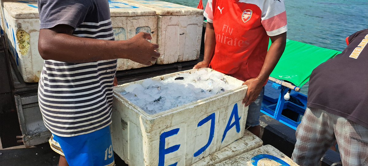 YohMariaVianei's tweet photo. Jumad (10/11), Yoh Maria  Vianei Keni Bolen, Luhkan Flores Timur, di Pemasar Ikan An. Kapitan Ishak, asal Desa Lamahala Jaya, Kec. Adonara Timur, mendata produksi campuran ikan layang dan tongkol, sebanyak 900 kg, harga Rp. 6.000/Kg
#GiatLuhkanSatminkalGondol 
#Flotim #produksi https://t.co/5O9FMVP76R