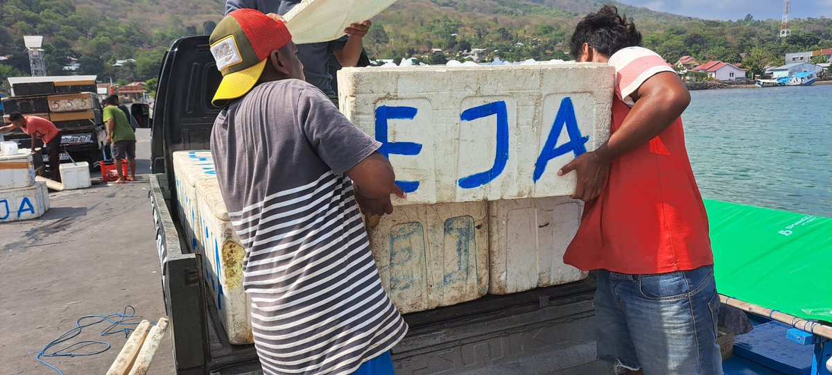 YohMariaVianei's tweet photo. Jumad (10/11), Yoh Maria  Vianei Keni Bolen, Luhkan Flores Timur, di Pemasar Ikan An. Kapitan Ishak, asal Desa Lamahala Jaya, Kec. Adonara Timur, mendata produksi campuran ikan layang dan tongkol, sebanyak 900 kg, harga Rp. 6.000/Kg
#GiatLuhkanSatminkalGondol 
#Flotim #produksi https://t.co/5O9FMVP76R