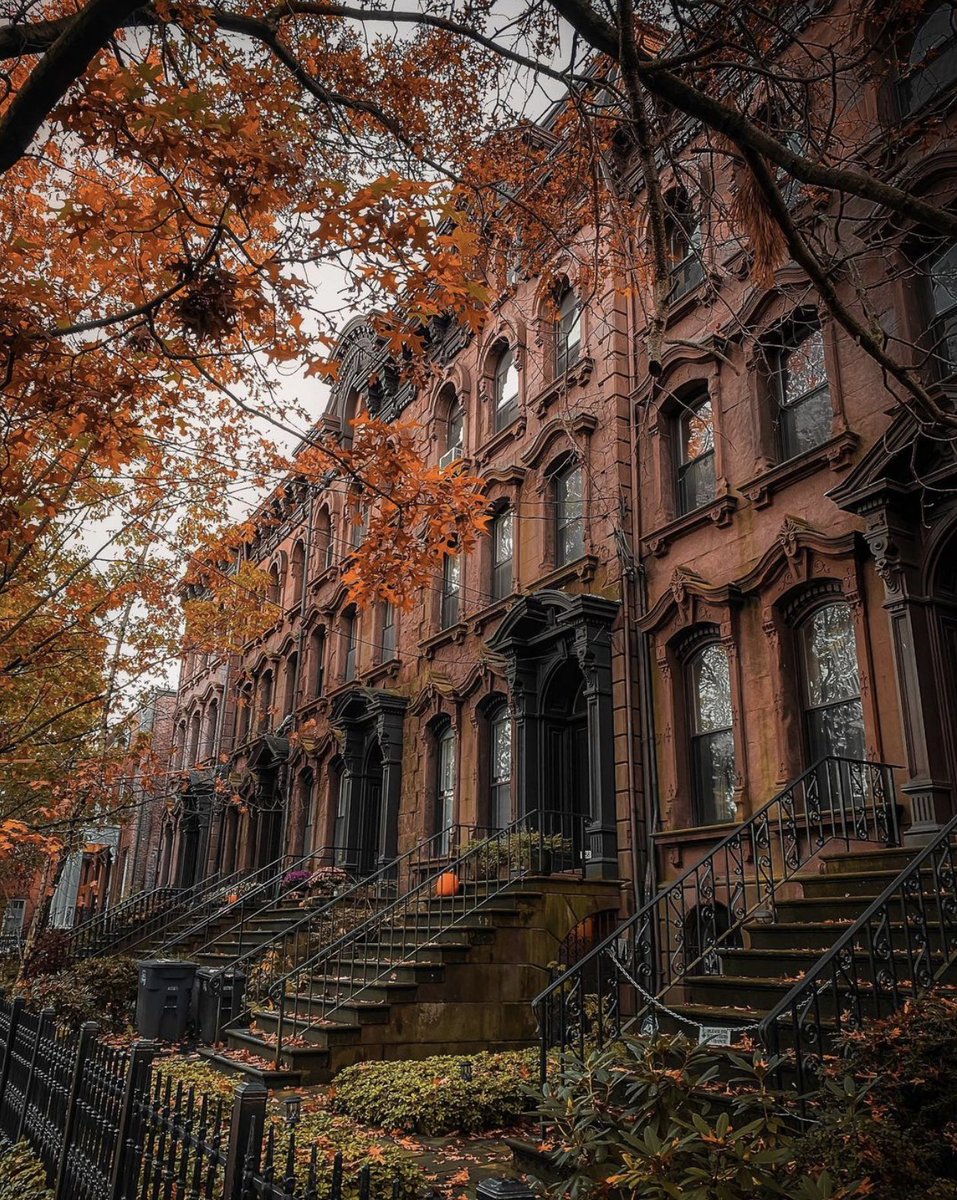 InfoNewHaven's tweet photo. Fall in love New Haven.🍂  

See what we did there?

📍Wooster Square, New Haven, CT.
📸 Captured by syd.uncharted on IG

 #NHV #WoosterSquare https://t.co/XARXal5fGG